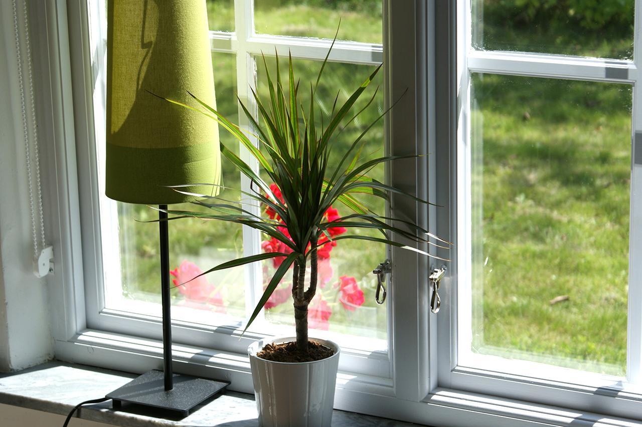 Kåseberga Ejagarden B&B En Suite מראה חיצוני תמונה